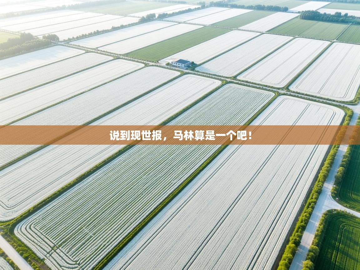 鲸蓝体育官网-说到现世报,马林算是一个吧! 第2张