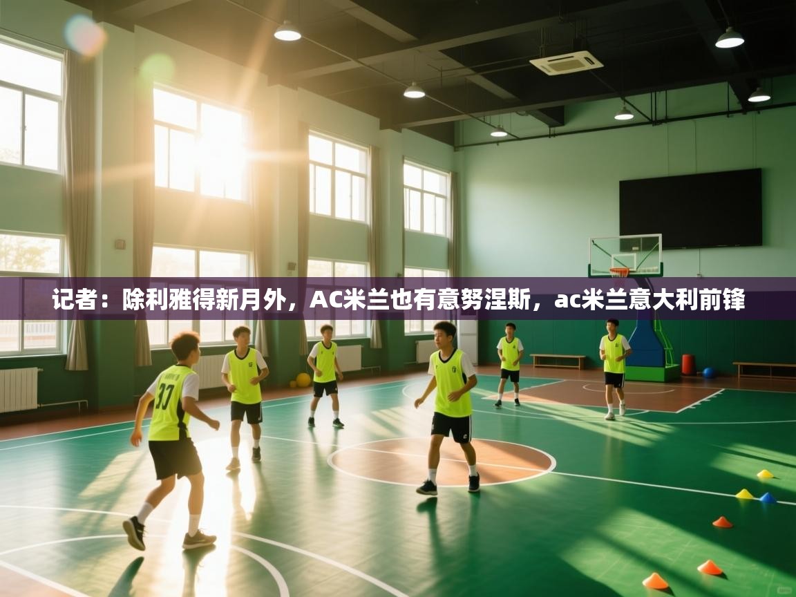 蓝鲸体育足球直播在线观看-记者:除利雅得新月外,AC米兰也有意努涅斯,ac米兰意大利前锋 第2张