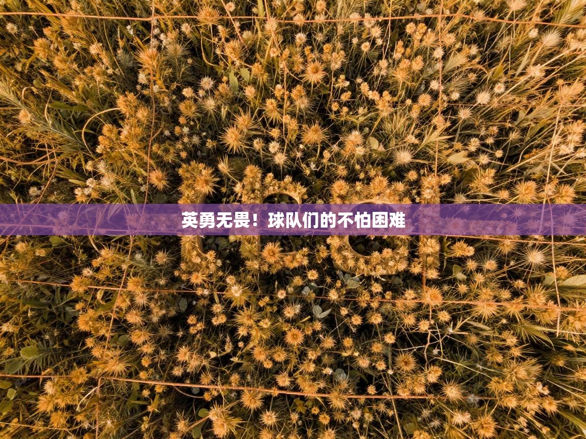 蓝鲸体育在线直播免费观看-英勇无畏！球队们的不怕困难  第2张