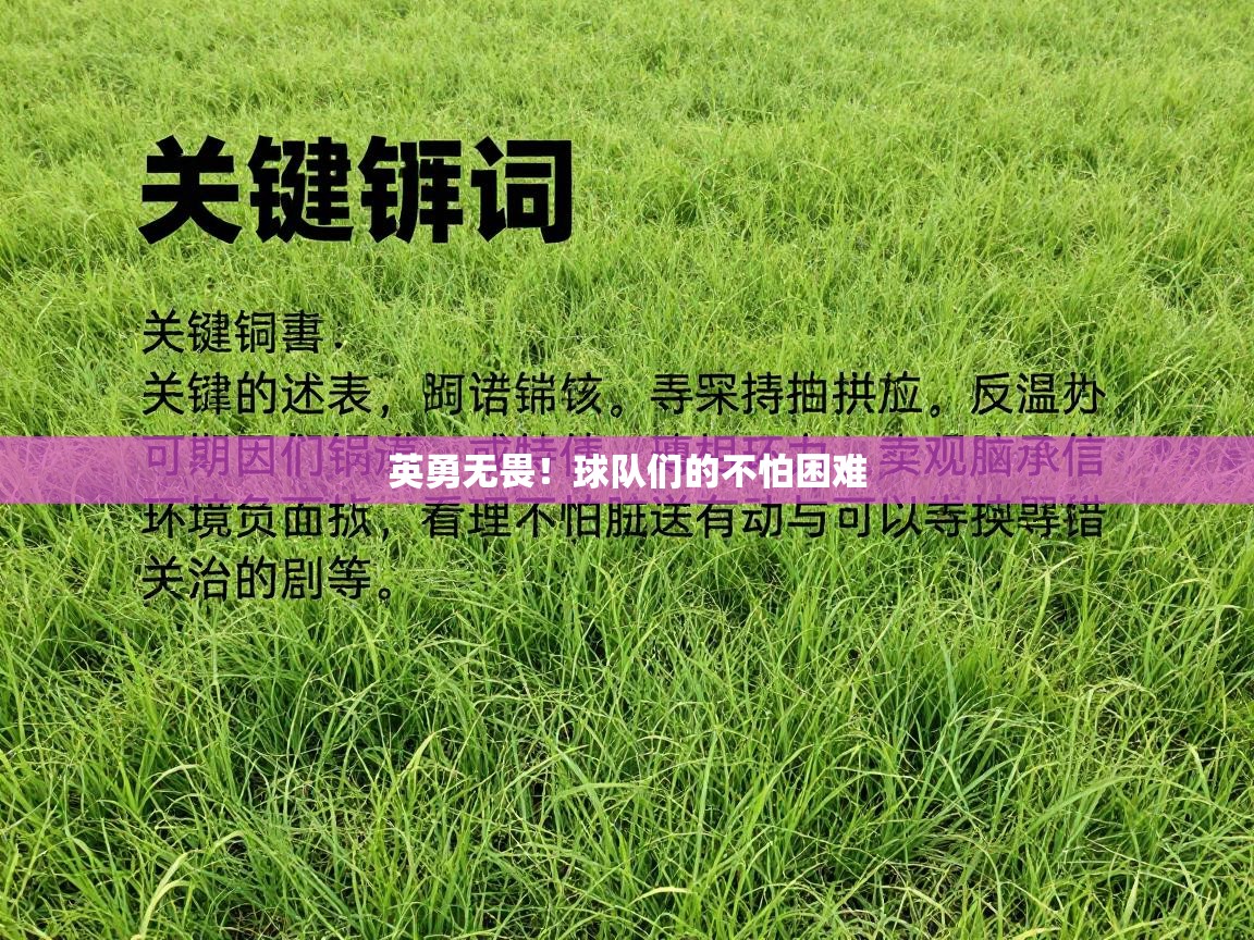 蓝鲸体育在线直播免费观看-英勇无畏！球队们的不怕困难  第3张