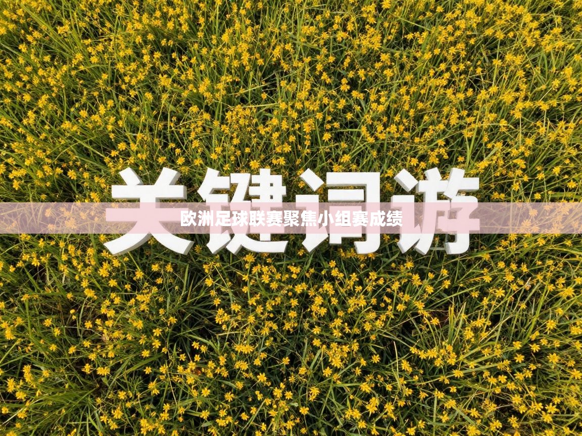 蓝鲸体育网页版-欧洲足球联赛聚焦小组赛成绩  第3张