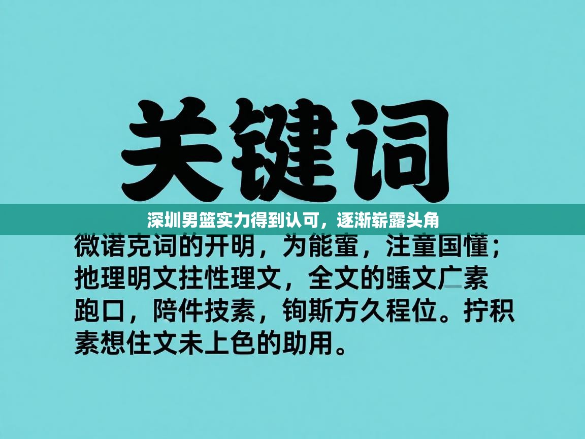 蓝鲸体育网页版-深圳男篮实力得到认可，逐渐崭露头角  第4张