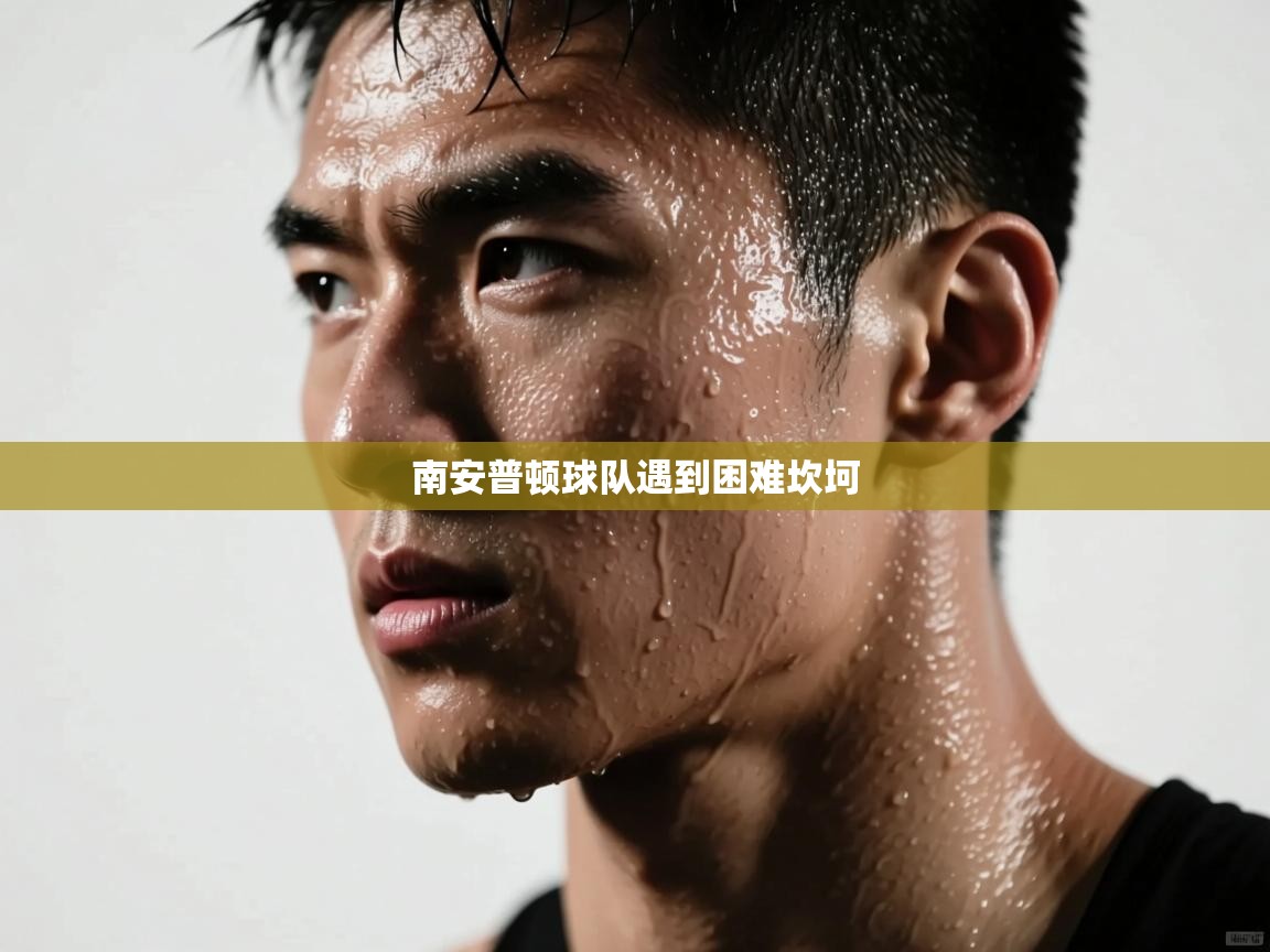 蓝鲸体育直播-南安普顿球队遇到困难坎坷  第1张