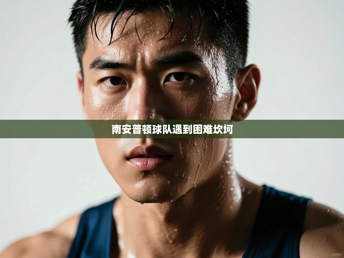 蓝鲸体育直播-南安普顿球队遇到困难坎坷  第3张