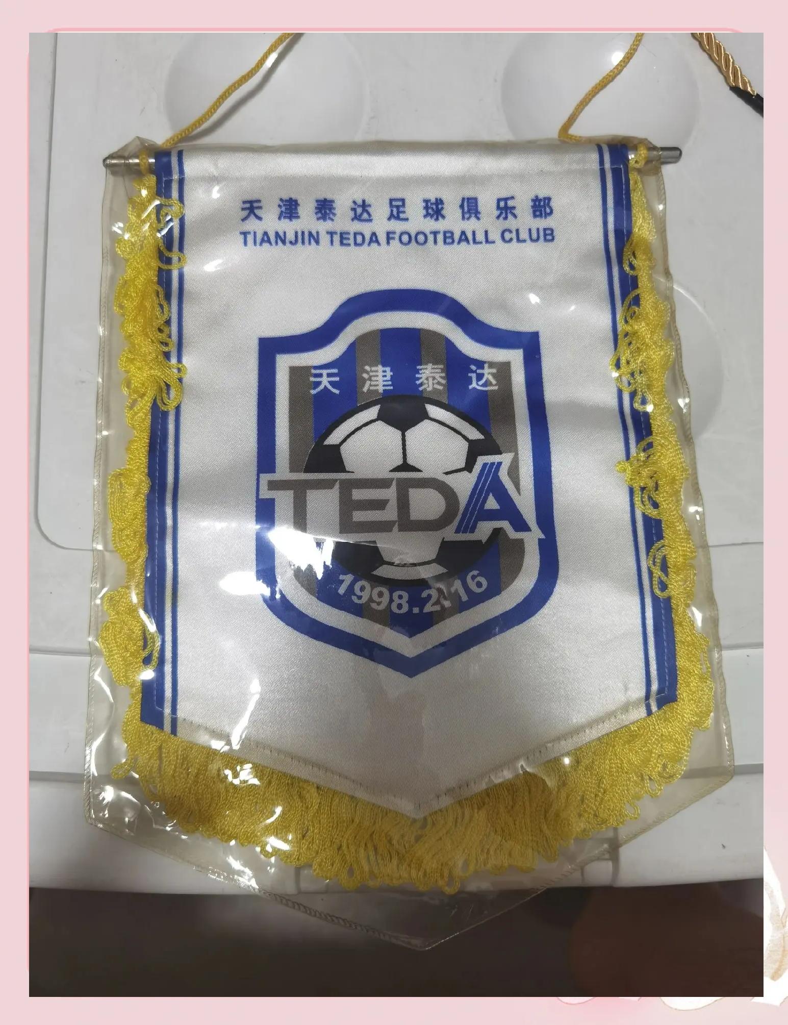 包含泰达主场受挫，球队将如何调整策略应对未来比赛？的词条